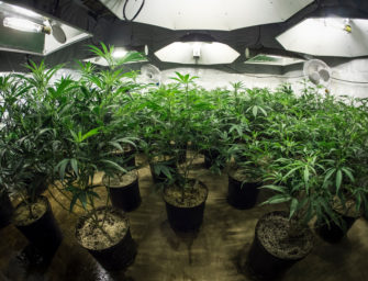 Distribution Woes Are a Major Buzzkill for the California Pot Industry