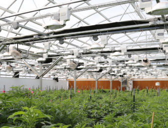 New Mexico Tribe Puts Up Land for $160M Medicinal Greenhouse