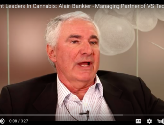 Three Key Founder Attributes this Cannabis Investor Likes to See