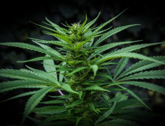 Top 6 Marijuana Bills to Follow
