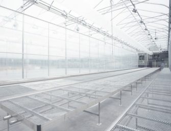 The Legal Cannabis Transition from Indoor to Greenhouse Grows: A Look at Tantalus Labs