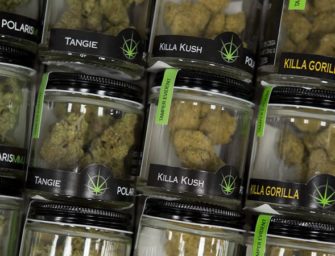 A fast-growing cannabis tech company just raised $10 million in a bid to dominate the market