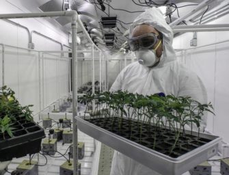 Adelanto, California wants to be the ‘Silicon Valley of medical marijuana’
