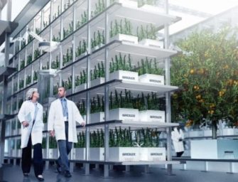 This Pot Company Is Cleaning Up The Weed Industry With Aeroponics