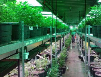 $80 Million Invested In Oregon Marijuana Start-Ups Over Last Six Months