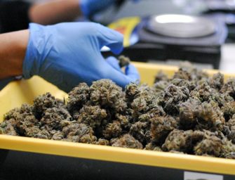 America Next: Overseas Firms Invest in U.S. Cannabis Industry