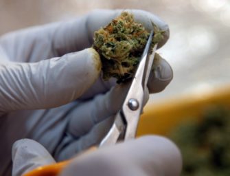 In a call for pot entrepreneurs, Oakland, Ca. test drives new medical marijuana permit program