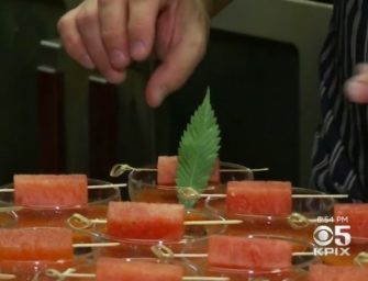 Gala Feast Promotes ‘Cannabis Cuisine’ For The Curious