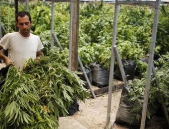 Aiming High: Israel Expects To Export $1 Billion Worth Of Medical Cannabis Annually