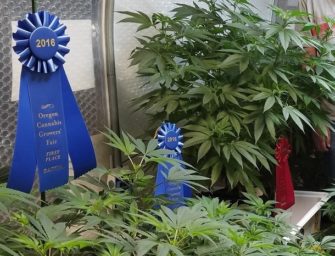 State fairs embracing cannabis displays