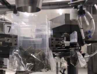 Automation in the pot industry is picking up with unforeseen speed
