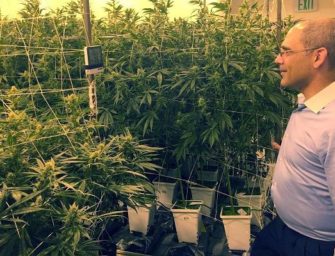 This Harvard MBA grad is building a luxury weed business — ‘the Hermès of cannabis’ — that he expects to bring in $50 million a year