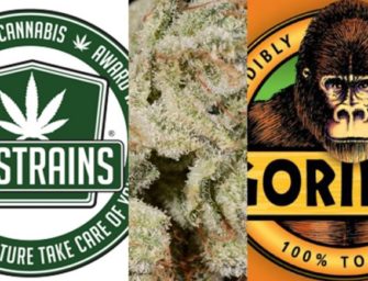 Gorilla Glue lawsuit: Cannabis biz stuck in the middle of branding battle over strain name