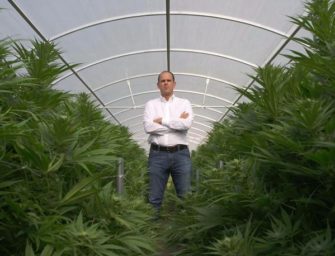 These five businesses reflect the changing face of marijuana