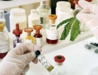 Cannabis medicines firm GW Pharma plans UK expansion