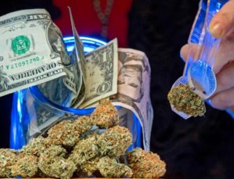The price of cannabis is falling, suggesting a supply glut