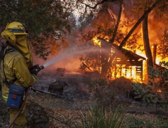 Cannabis harvests threatened by Sonoma County’s Tubbs Fire