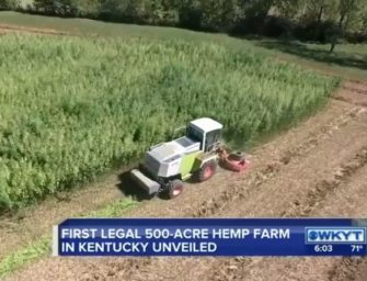 First legal 500-acre hemp farm in Kentucky unveiled