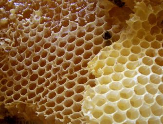 Australian-made cannabis honey is coming soon