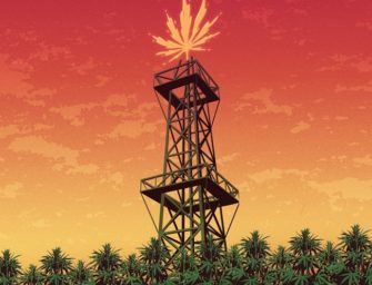 The CBD Oil Boom: Making Money on Medical Marijuana for the Masses