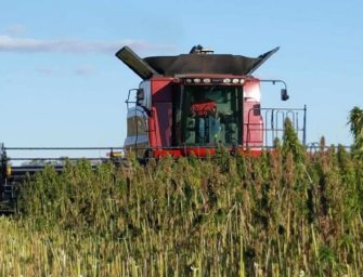 World’s largest Hemp extraction plant to be brought to Kentucky