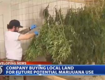 Michigan company buys 25 acres to build marijuana park