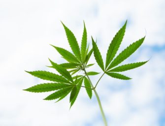Why Marijuana Stock OrganiGram Popped 8% Today
