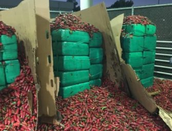 Nearly four tons of pot buried in jalapeños seized in San Diego