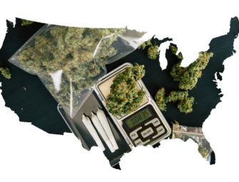 20 States Expected to Fully Legalize Marijuana by 2024