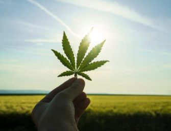 Marijuana’s Ten Biggest Victories Of 2019