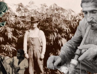 A Brief Global History of the War on Cannabis